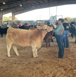 Meet your Posher, Jaycee